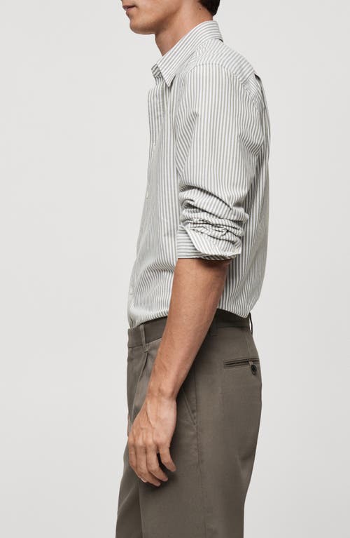 Mango Regular Fit Stripe Cotton Button-up Shirt In Blue
