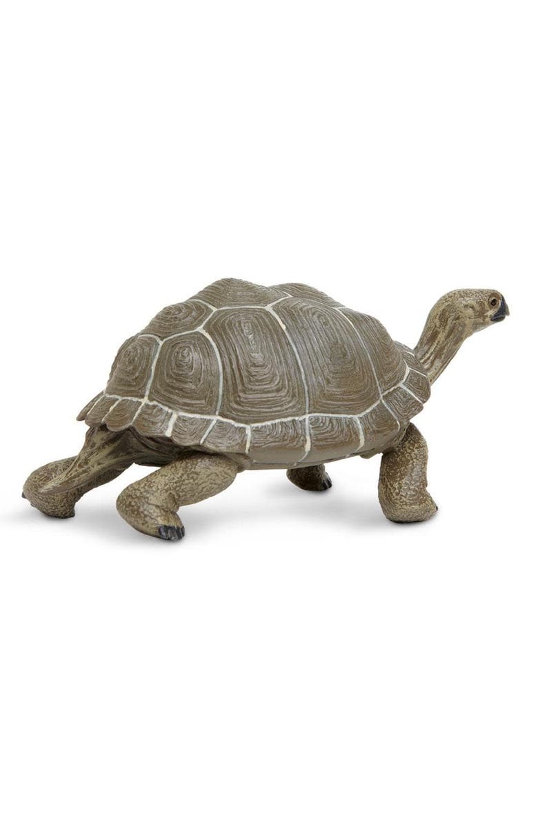 Safari Ltd. Tortoise Toy, Alternate, color, NO COLOR