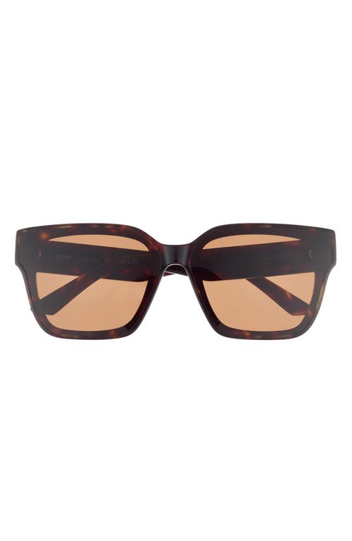 Quay Drive In 66mm Square Sunglasses In Brown