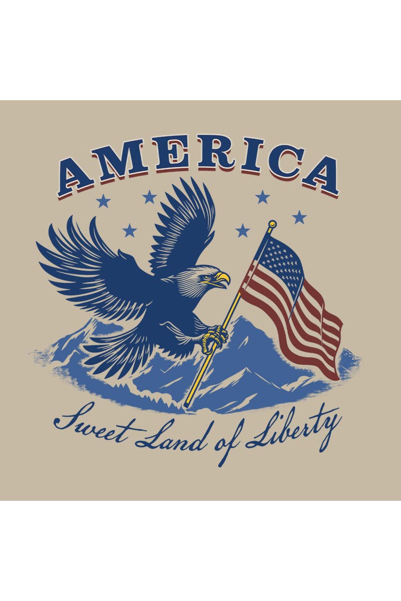 Junior's Sweet Land America Short Sleeve Baby T-shirt, Alternate, color, Plaza Taupe