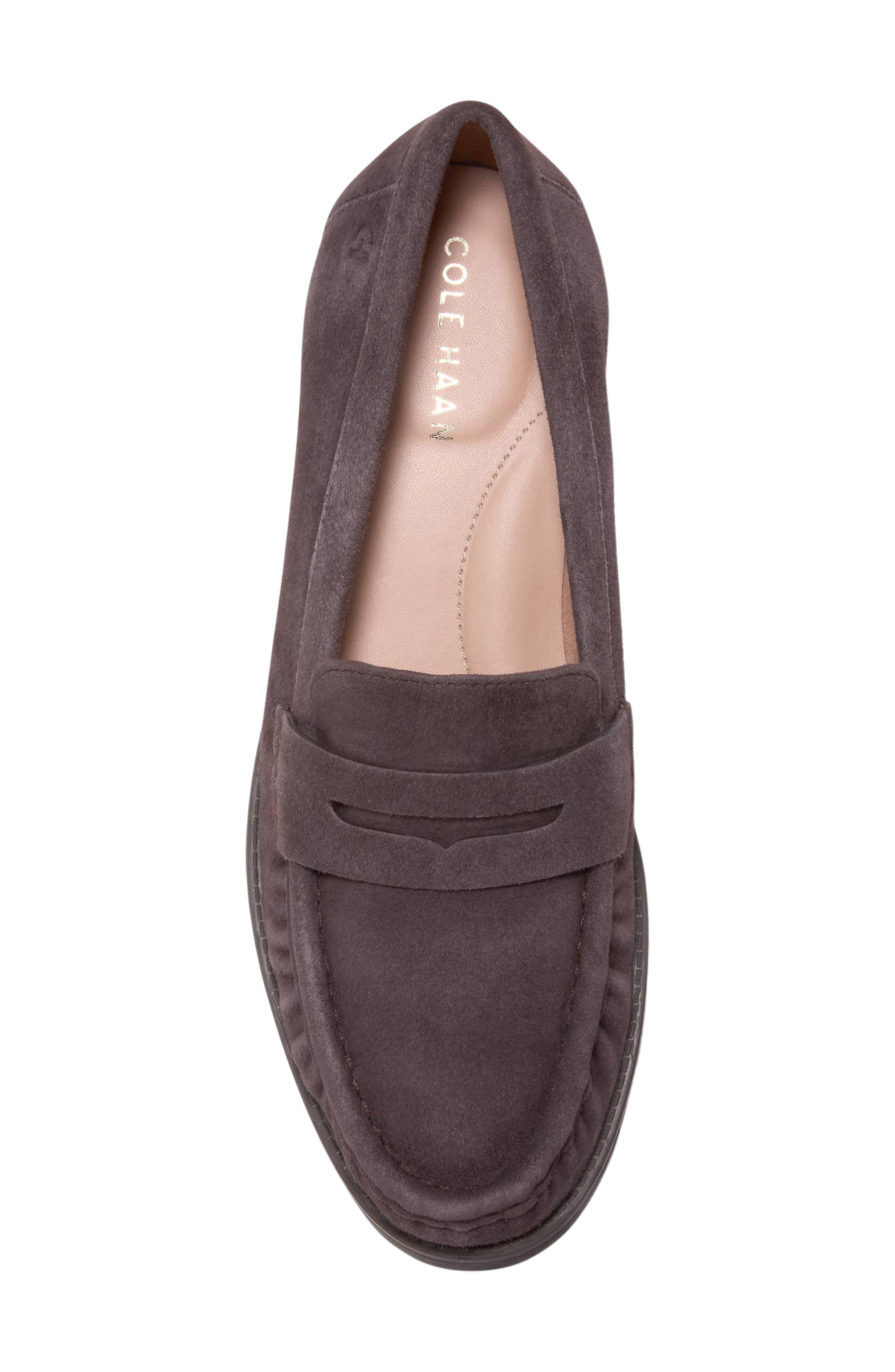 Stassi Penny Loafer, Alternate, color, DARK CHOCOLATE SUEDE