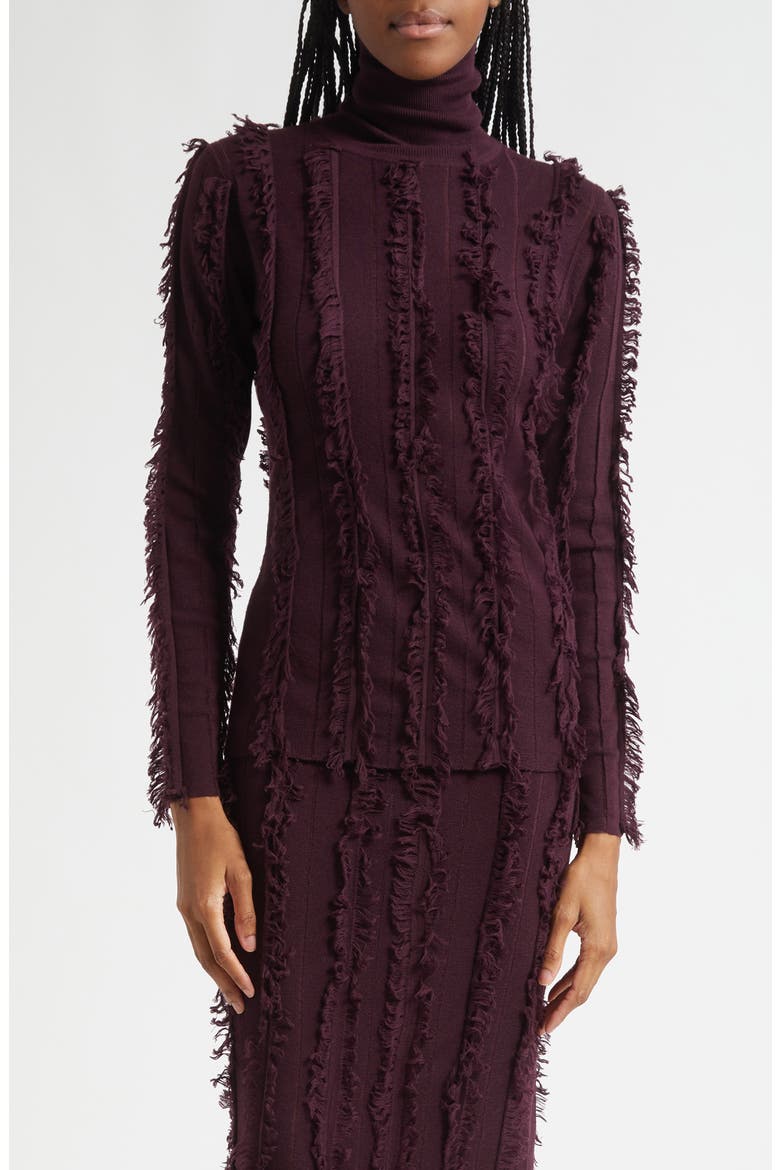 Nico Fringe Stripe Merino Wool Turtleneck Sweater, Main, color, PINEAU