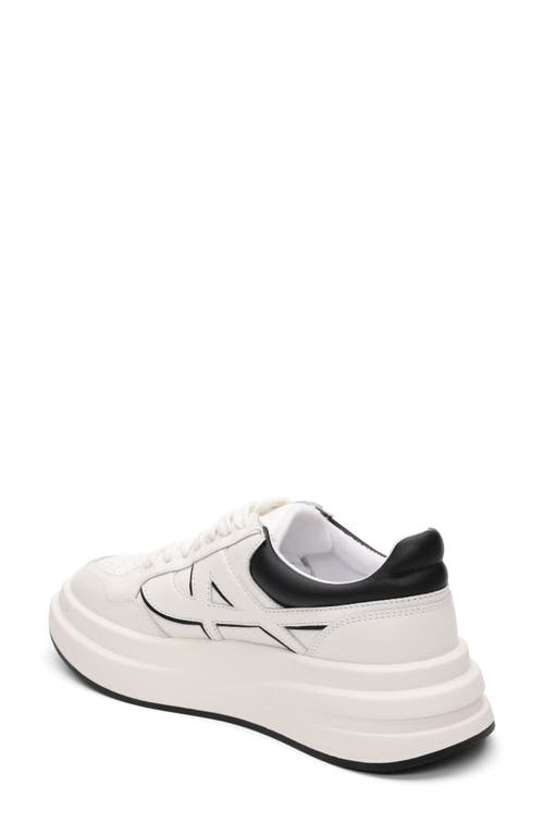 Ash Icone Platform Sneaker In White/black