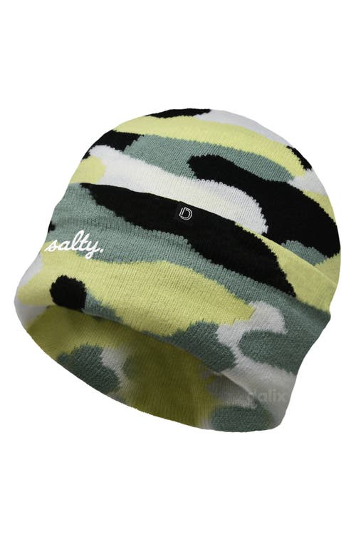 Dalix Salty Beanie Cap In Green