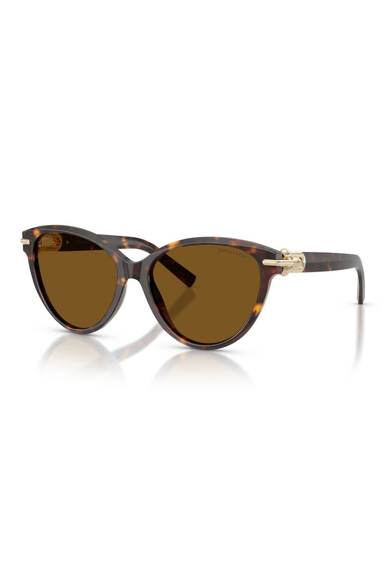 56mm Polarized Cat Eye Sunglasses, Alternate, color, HAVANA / DARK BROWN POLAR