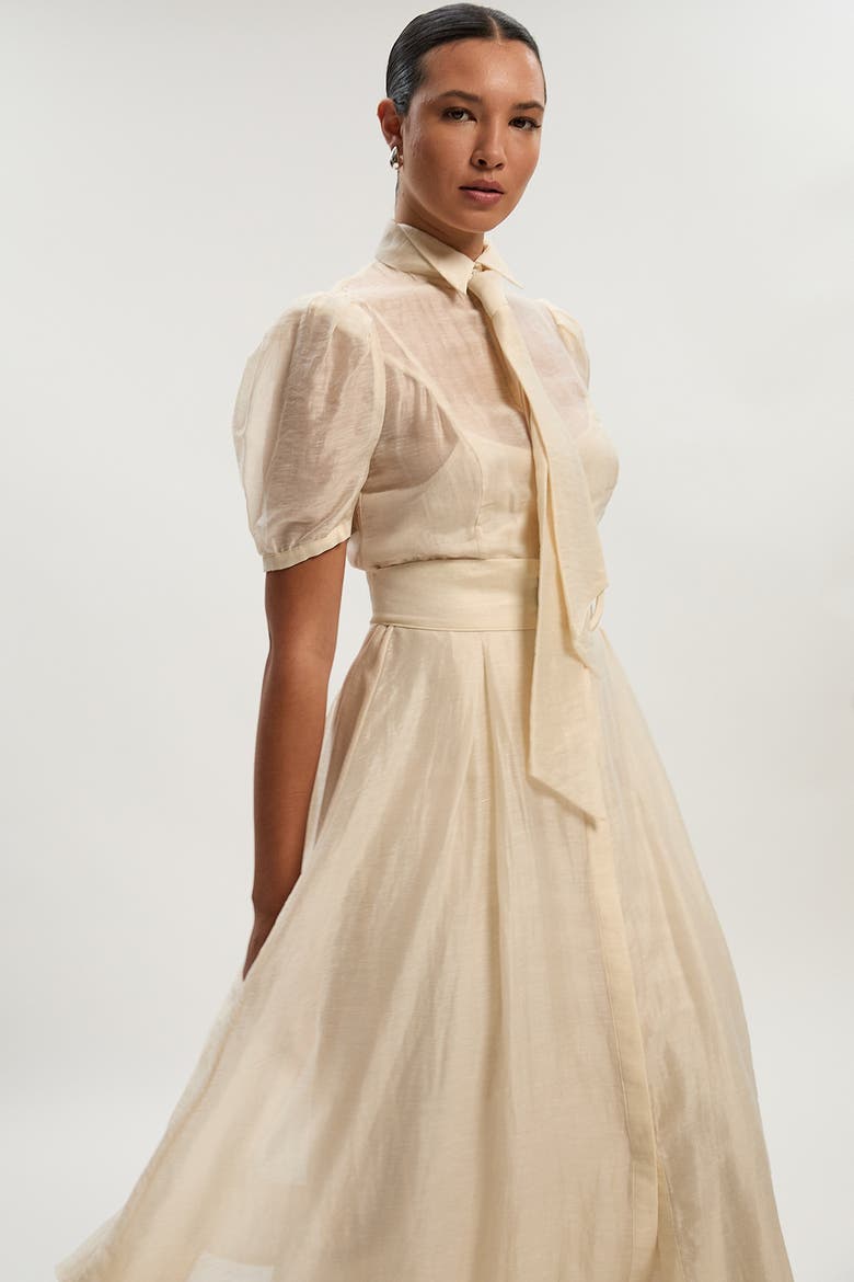 Organdie Tie Neck Woven Midi Dress, Alternate, color, Ivory