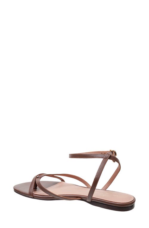 Linea Paolo Luz Ankle Strap Sandal In Chocolate