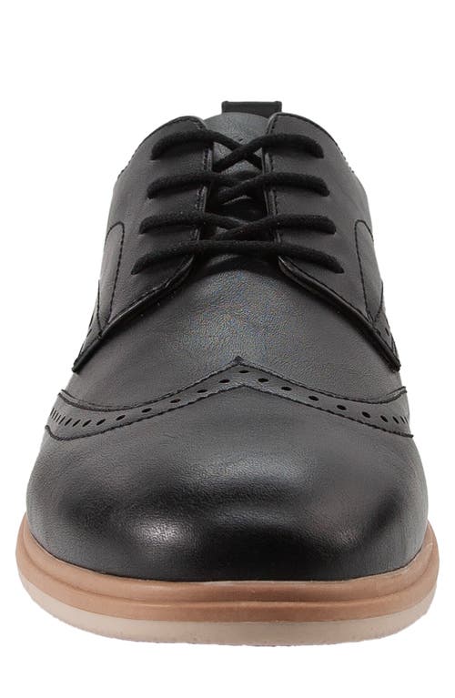 Deer Stags Delgado Supro Derby In Black