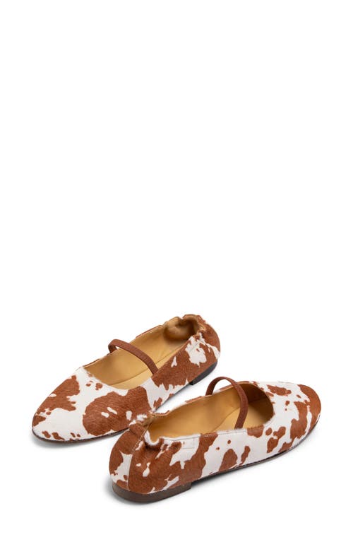 Penelope Chilvers Jazz Genuine Calf Hair Mary Jane Flat In Multi