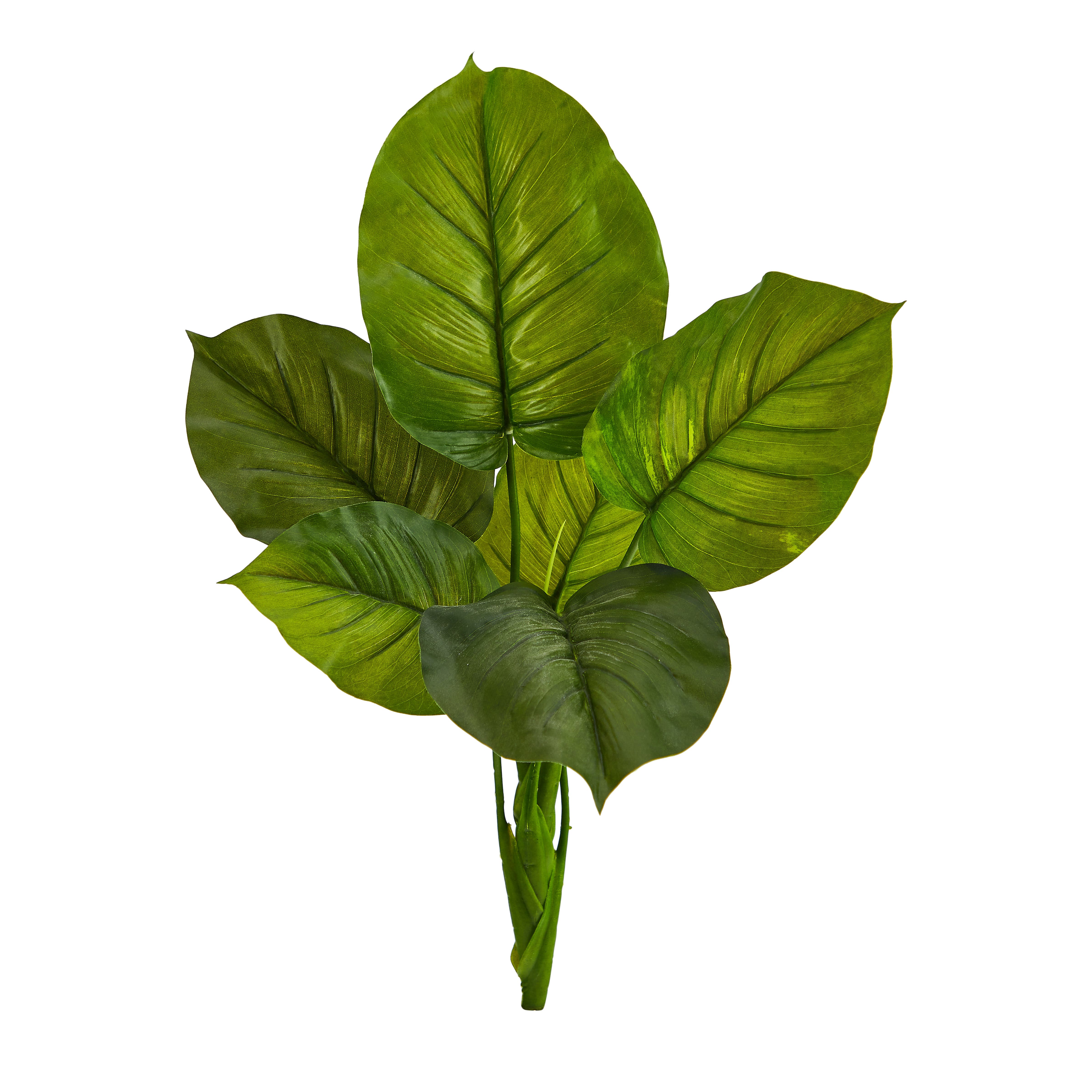selected Green