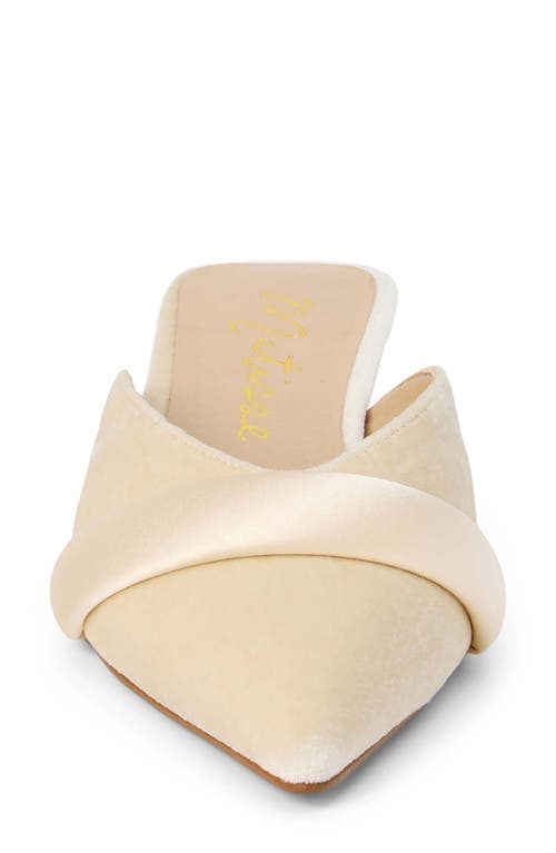 Matisse Kellan Pointed Toe Mule