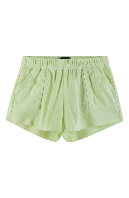 Andy & Evan Kids' Pointelle Cotton Short Pajamas In Lga