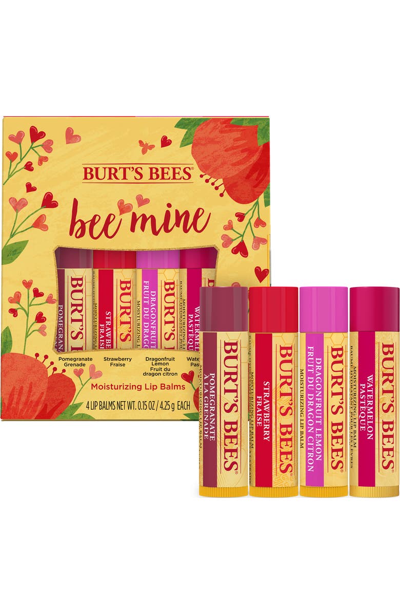 Burt's Bees 4-Piece Bee Mine Chapstick Gift Set, Main, color,