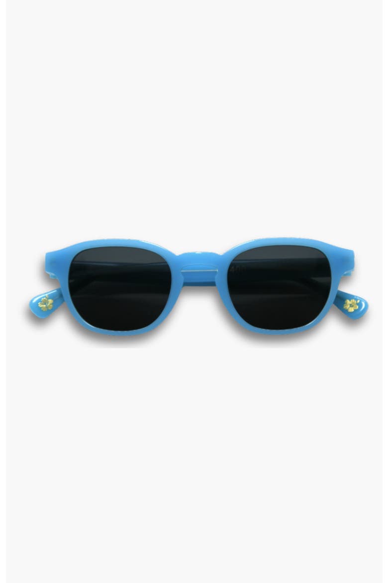 Daytona Round Polarized Sunglasses, Main, color, Blue