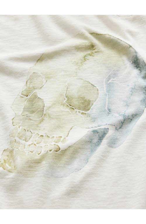 John Varvatos Watercolor Skull Graphic T-shirt In Salt