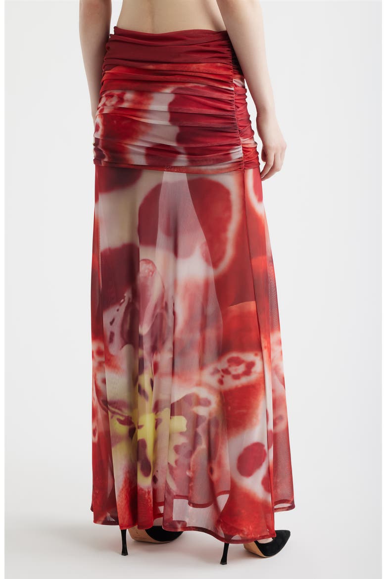 Susurro Print Ruched Mesh Maxi Skirt, Alternate, color, BLUSH