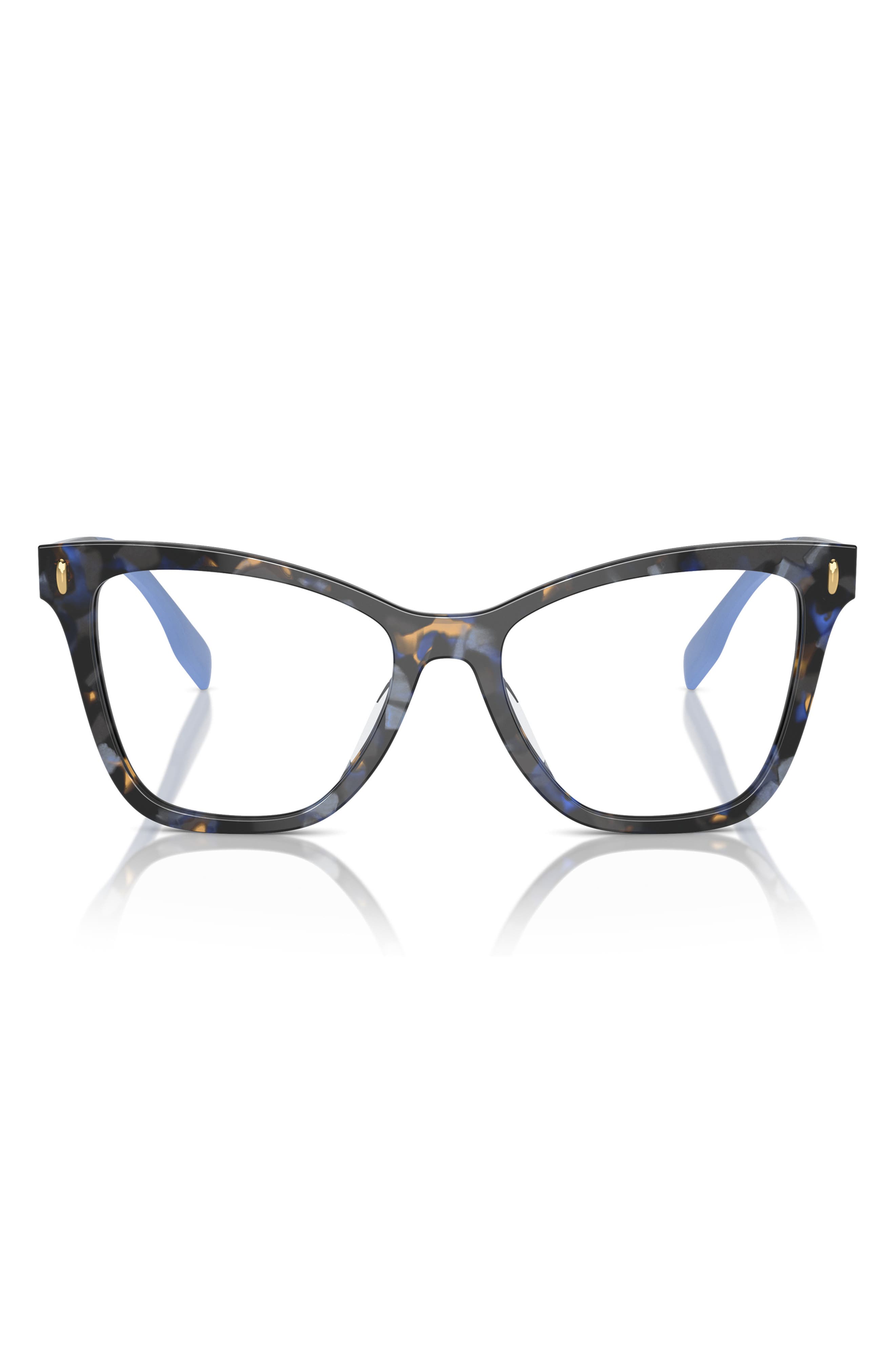 selected BLUE TORTOISE