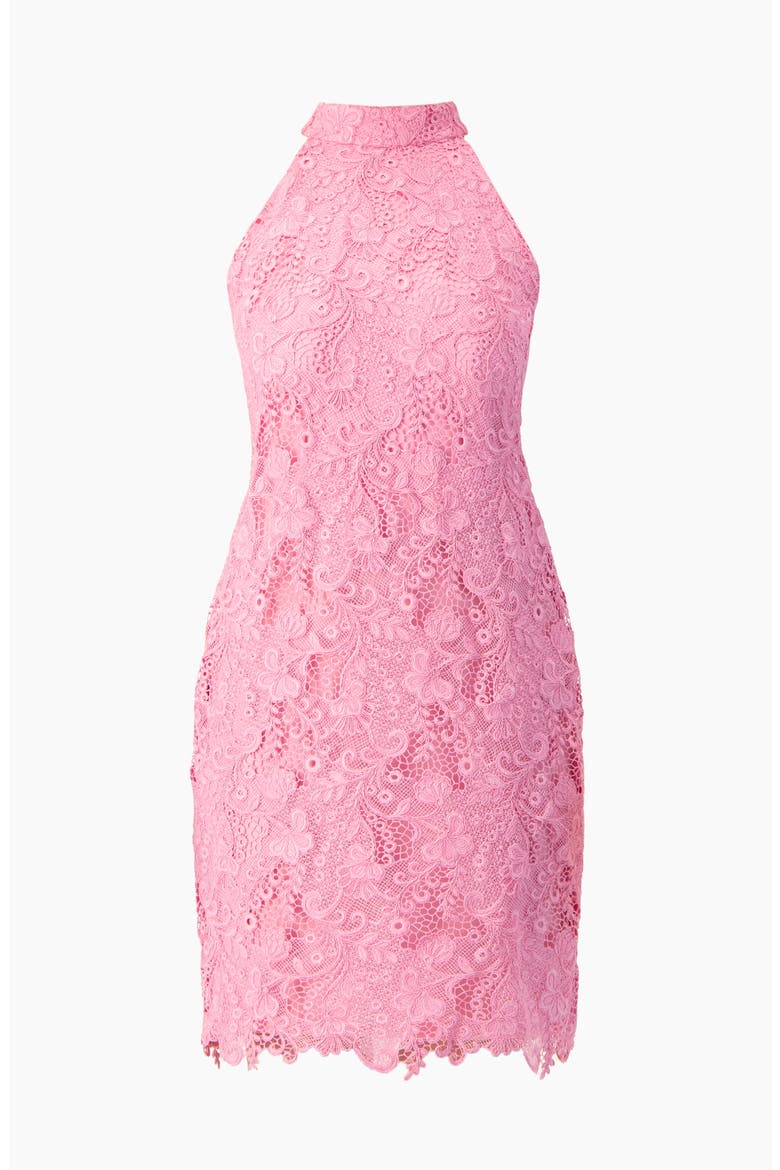 Lace Halter Bow Mini Dress, Alternate, color, Pink
