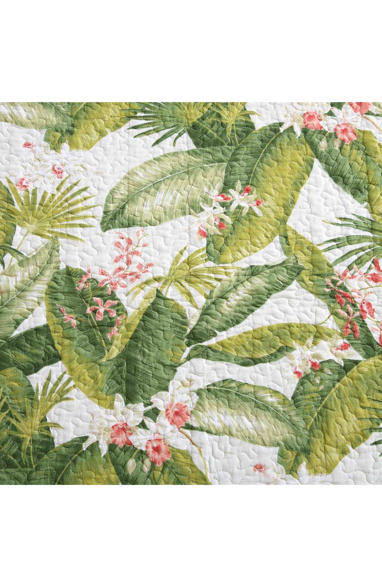 Tommy Bahama Aregada Dock Cotton Quilt & Sham Set, Alternate, color, Green/ Ecru Multi