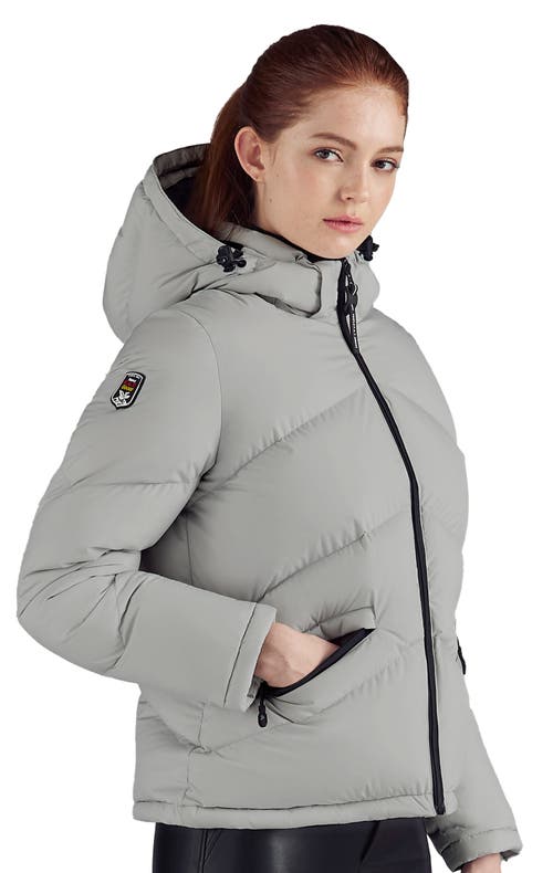 Triple F.a.t. Goose Puffer Down Jacket In Gray