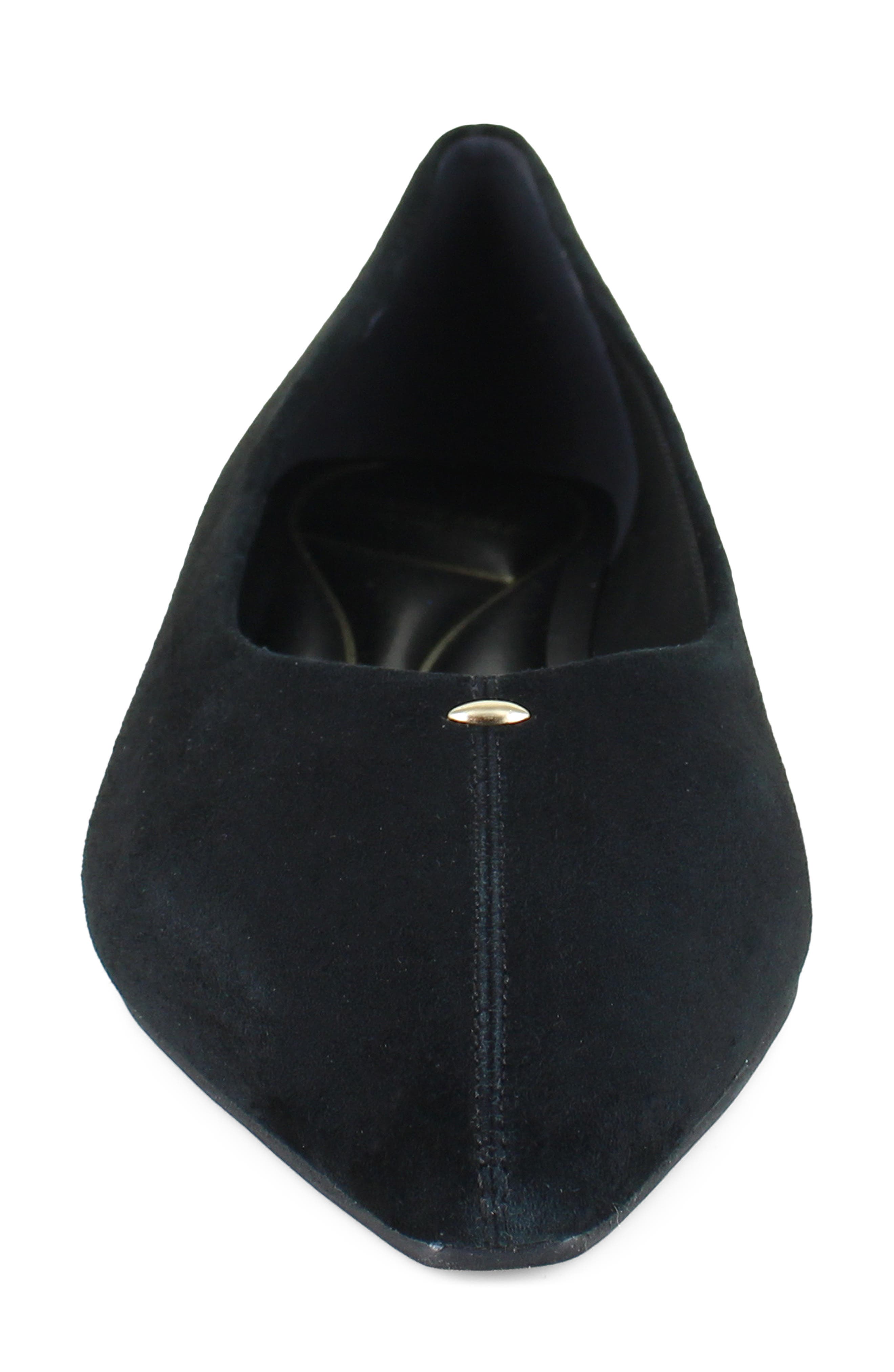 Nala Pointed Toe Flat, Alternate, color, BLACK SUEDE