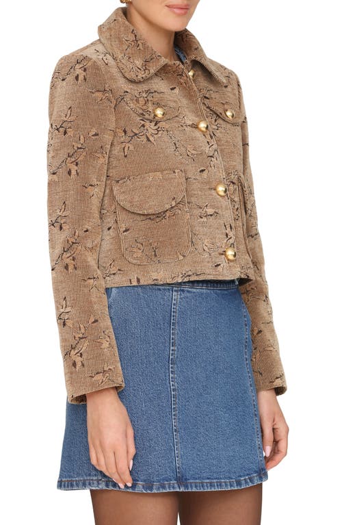 Avec Les Filles Crop Corduroy Jacket In Brown