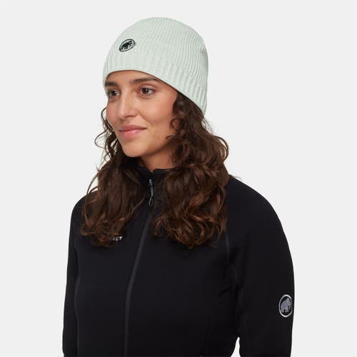 Mammut Sublime Beanie In Gray