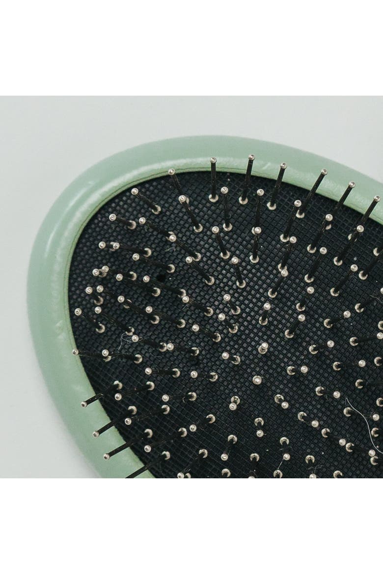 Pet Grooming Palm Brush, Sage Green, Dog & Cat Grooming Tool, Alternate, color, Green