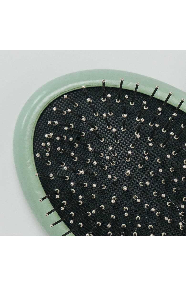 Dexypaws Pet Grooming Palm Brush, Sage Green, Dog & Cat Grooming Tool, Alternate, color, Green