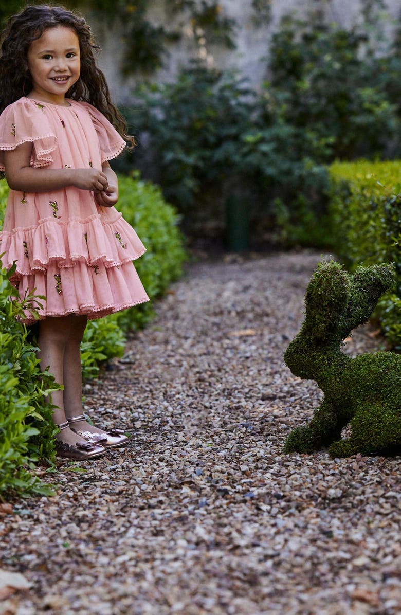 Baker by Ted Baker Kids' Embroidered Floral Tulle Tiered Dress, Alternate, color, Pink