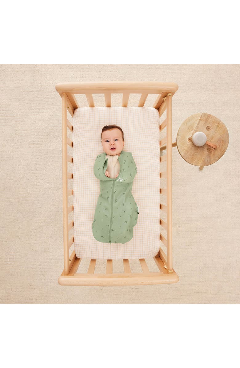 ergoPouch Newborn Starter Pack, Alternate, color, Assorted