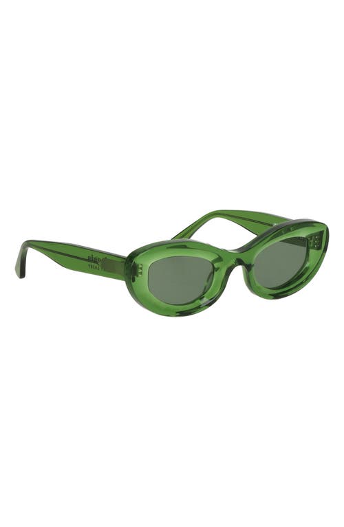 Cult Gaia X Thierry Lasry Jazz 47mm Oval Sunglasses In Green