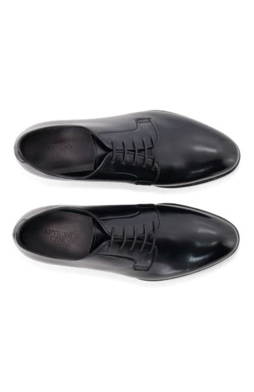 Anthony Veer Sterling Derby In Multi