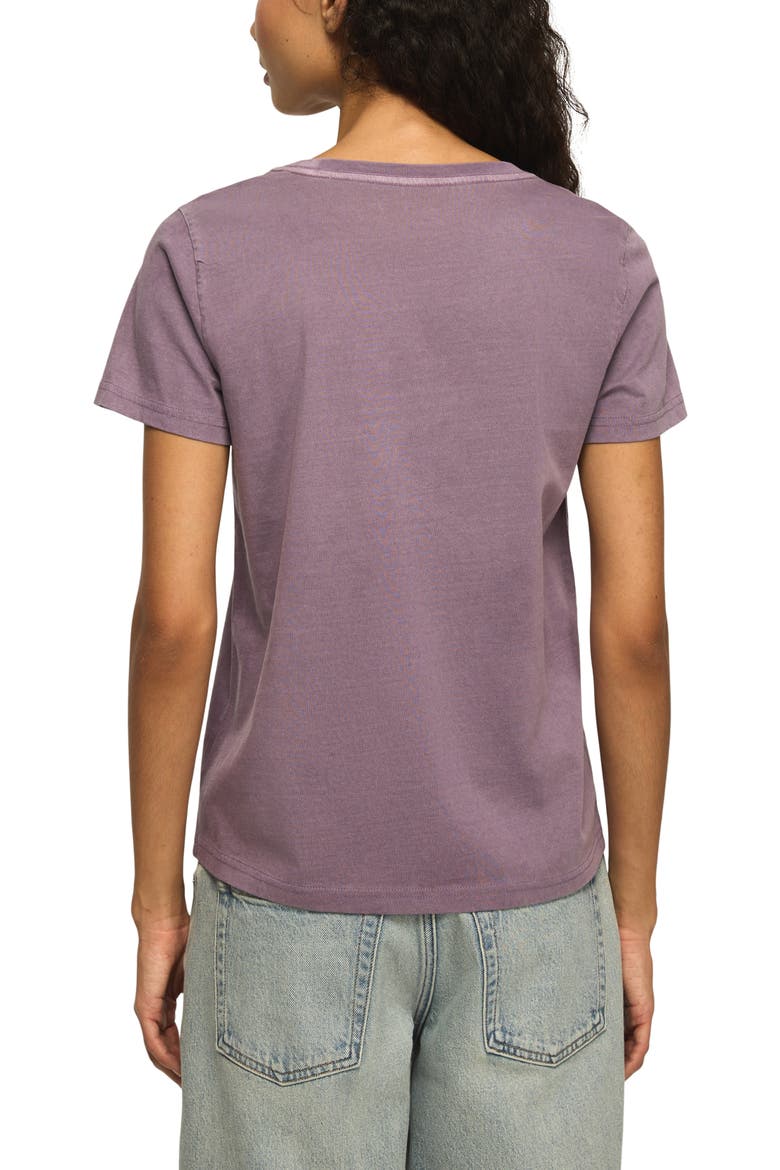 Lace Embroidered Butterfly Cotton T-Shirt, Alternate, color, RHAPSODY