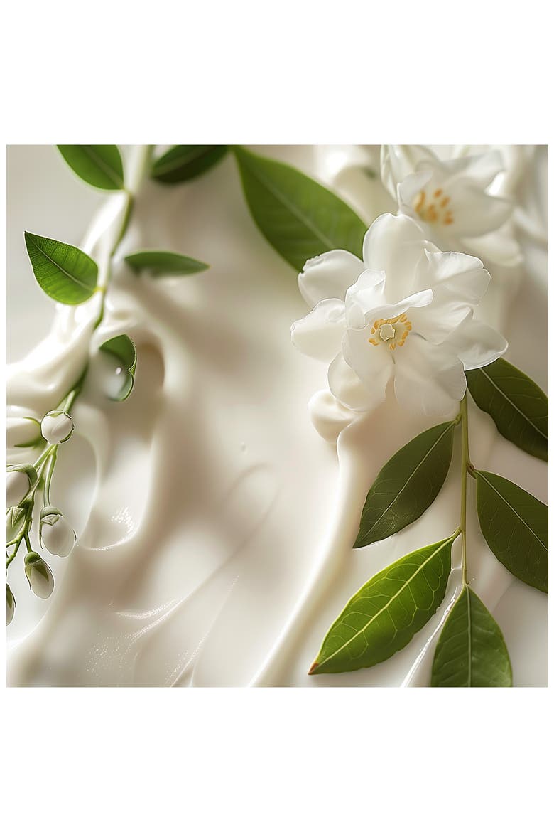 Masque Fleurs de Jasmin Hydrating Hair Mask for Fine & Dry Hair, Alternate, color, NO COLOR