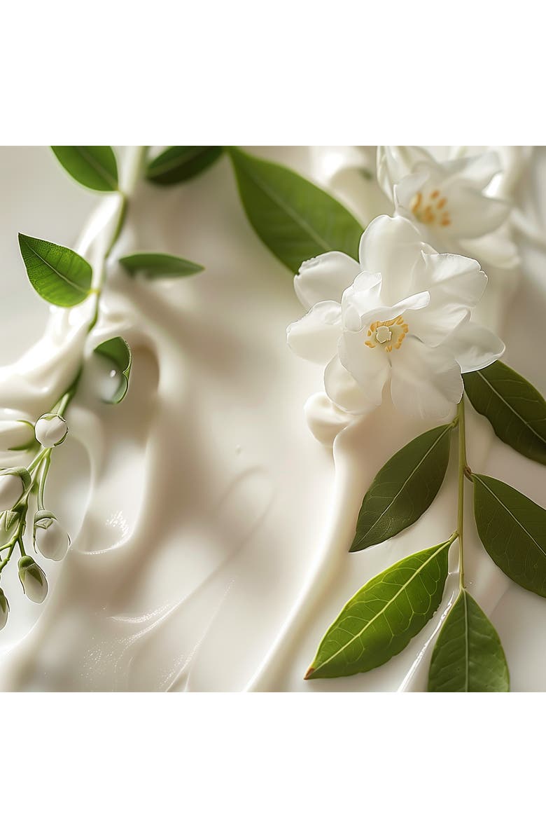 Leonor Greyl PARIS Masque Fleurs de Jasmin Hydrating Hair Mask for Fine & Dry Hair, Alternate, color, 