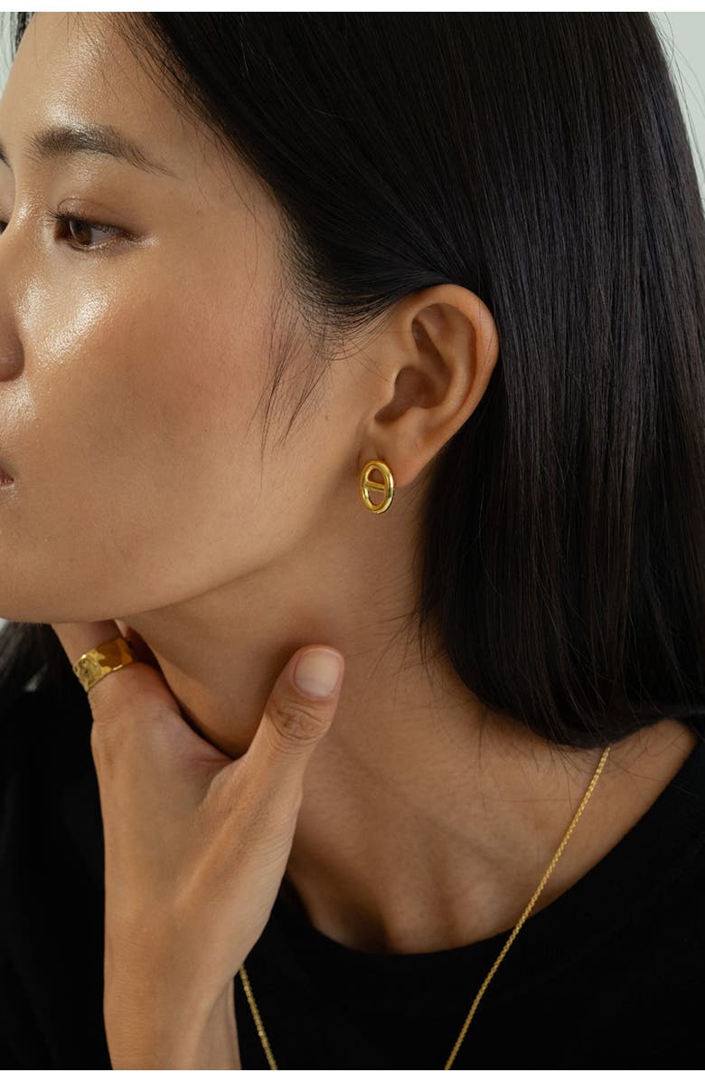 Bearfruit Jewelry Sterling Silver 18k Gold Plated Erin Circle Earrings Holiday Gift Idea, Alternate, color, Gold