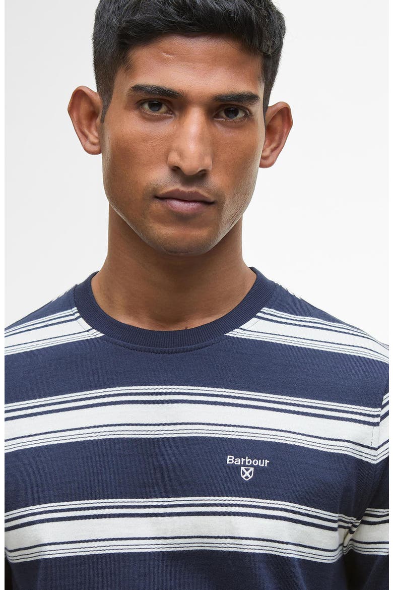 Plaistow Stripe Long Sleeve Cotton T-Shirt, Alternate, color, NAVY