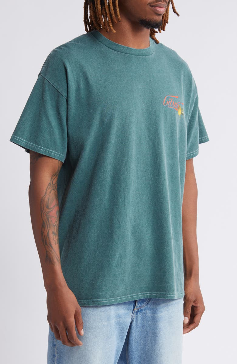 BDG Urban Outfitters Pomelo Graphic T-Shirt, Alternate, color, 