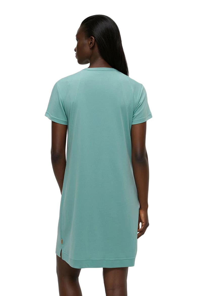 Birchwood Dress, Alternate, color, Turquoise Sky