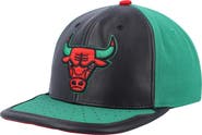 Mitchell & Ness Men's Mitchell & Ness Black/Green Chicago Bulls Day One Snapback Hat