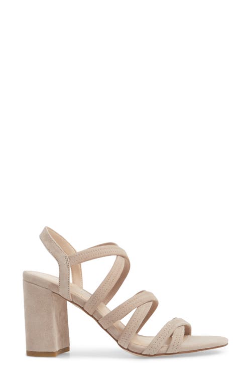 Shop Pelle Moda Grace Sandal In Mushroom Nubuck Leather
