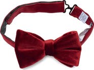 NORDSTROM RACK Velvet Bow Tie