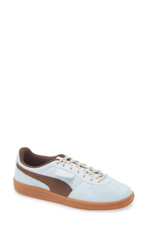Puma Palermo Ccc Sneaker In Frosted Dew-gum