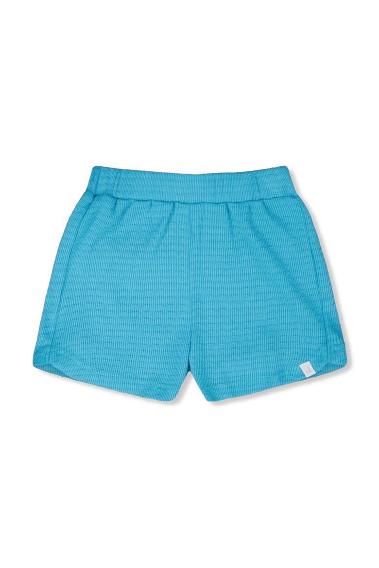 Crinkle Jersey Elastic Waist Shorts, Main, color, Blue