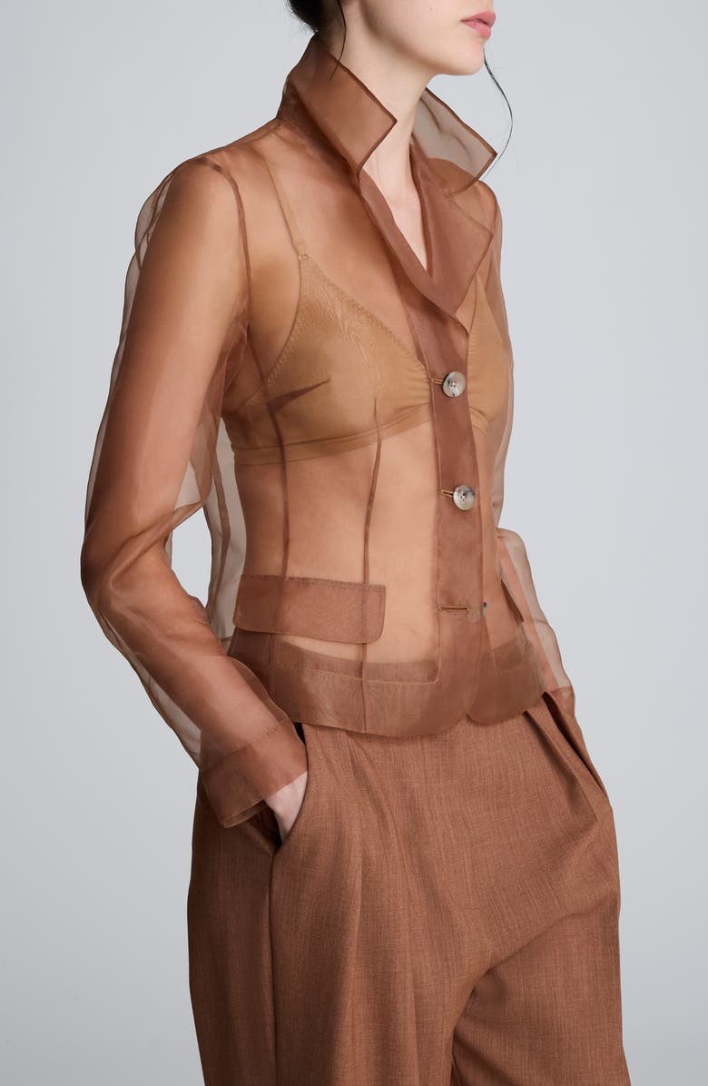 Kenneth Cole Notch Collar Mesh Button-Up Shirt, Alternate, color, Pale Chestnut