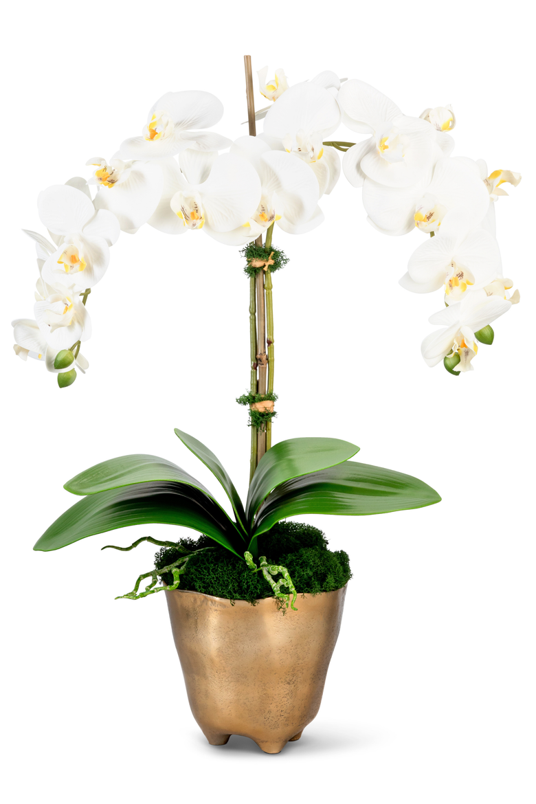 Rowan RealTouch Orchid, Main, color, Snow