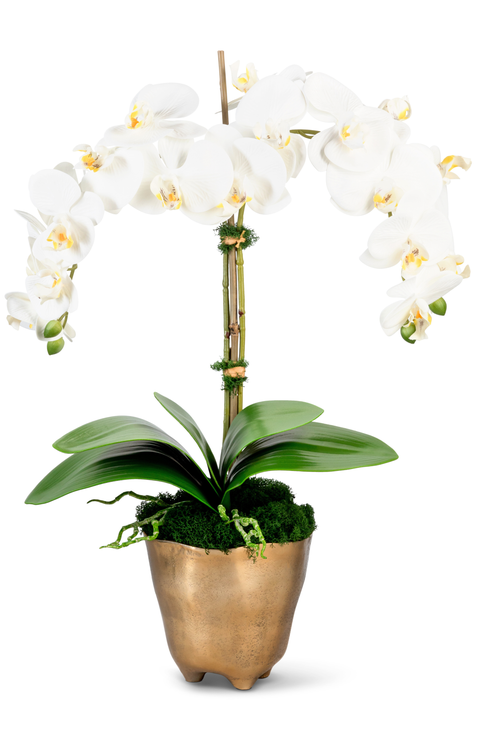 Rowan RealTouch Orchid