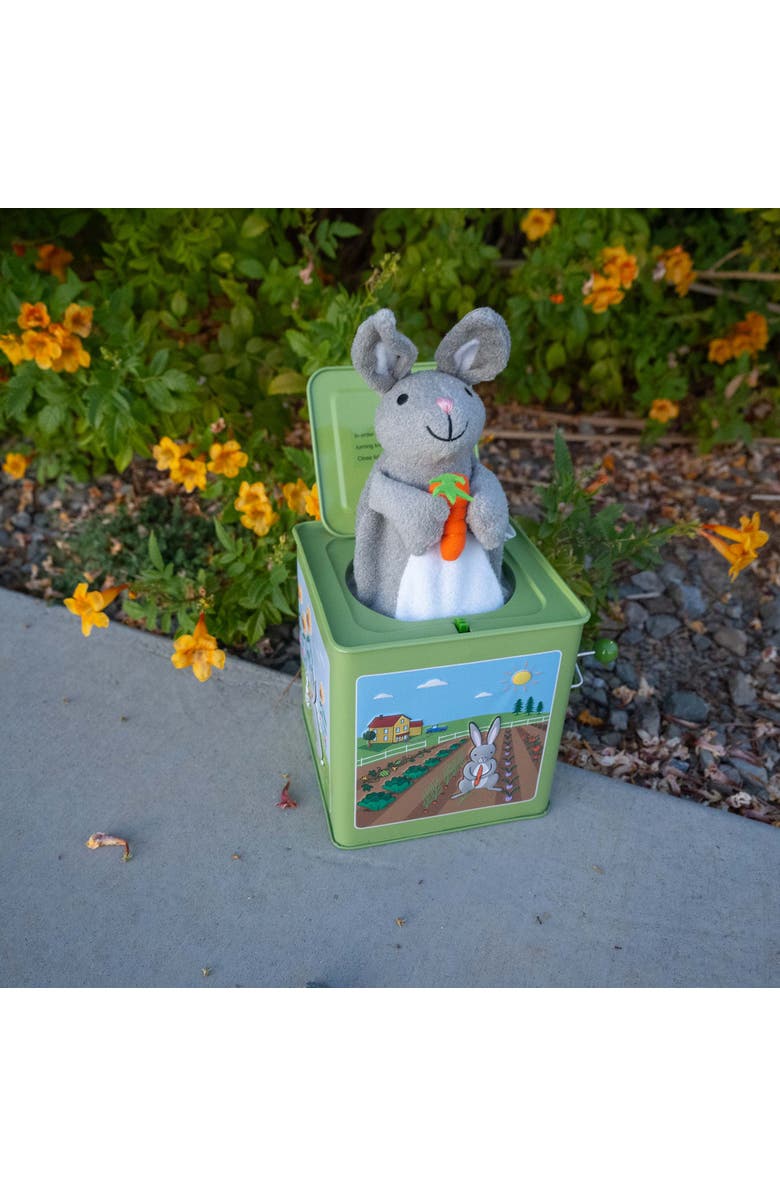 ZZDNU Jack Rabbit Creations Inc Bunny Jack in the Box, Alternate, color, Multicolored