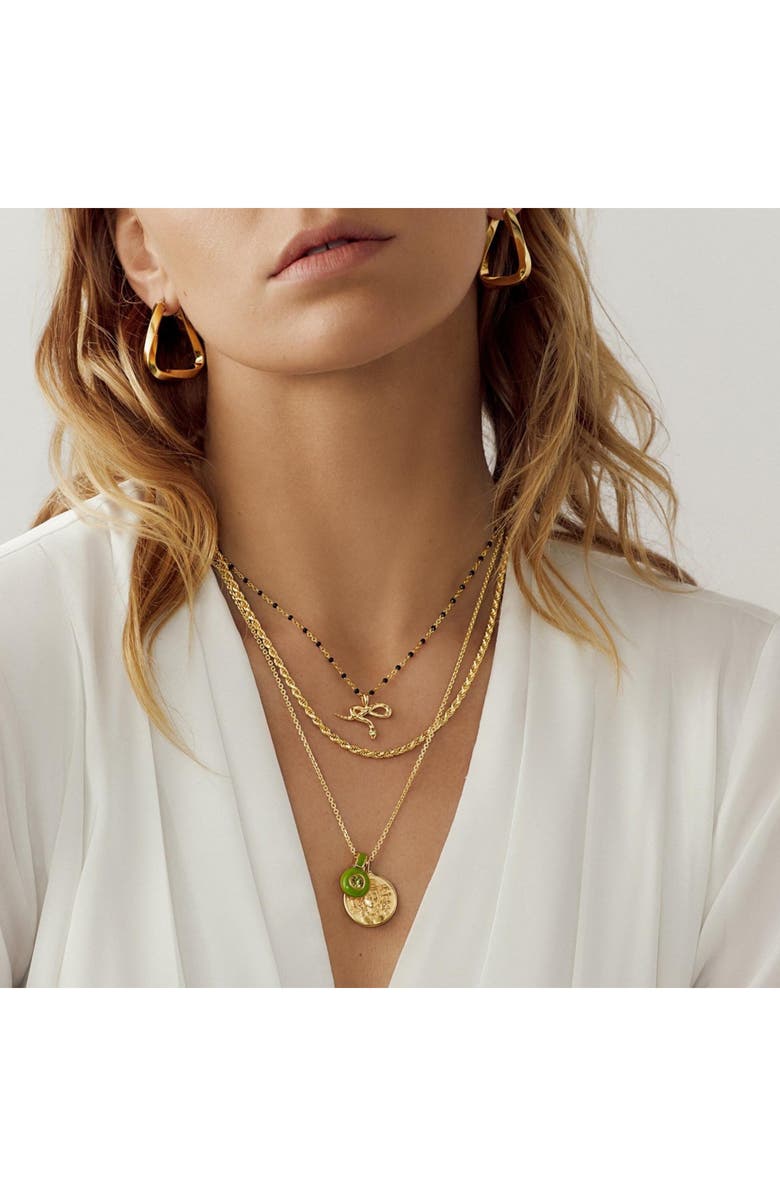 Awe Inspired Twisted Rope Chain Necklace, Alternate, color, 